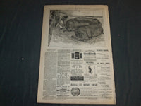 1874 JANUARY 7 THE DAILY GRAPHIC NEWSPAPER - A HINT TO OUR CONGRESSMEN - NT 7642