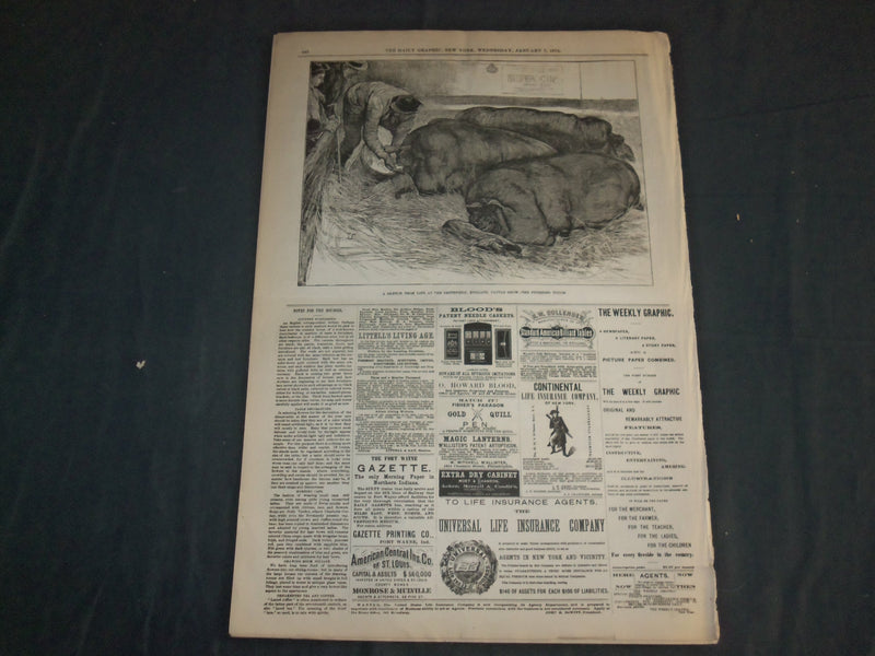 1874 JANUARY 7 THE DAILY GRAPHIC NEWSPAPER - A HINT TO OUR CONGRESSMEN - NT 7642