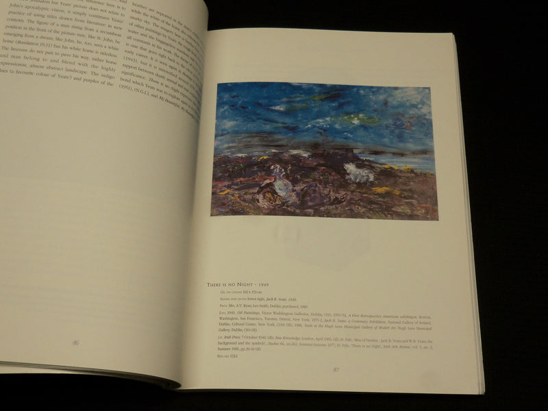 1993 IMAGES AND INSIGHTS SOFTCOVER BOOK BY HUGH LANE - NICE PRINTS - R 716M