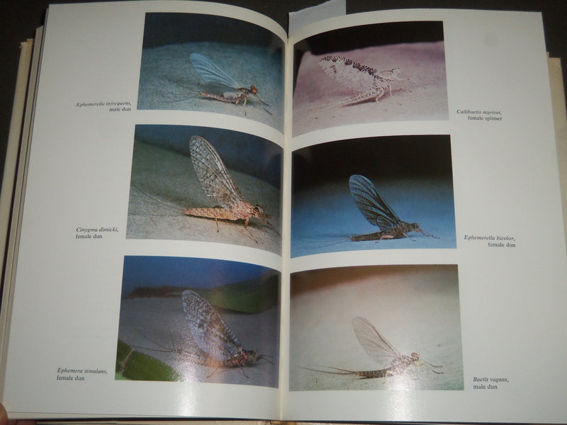 1977 MEETING & FISHING THE HATCHES BY CHARLES R. MECK HARDCOVER BOOK - KD 4394