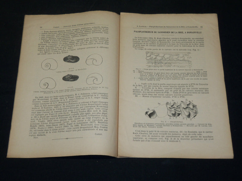 1912-1925 LA FEUILLE DES NATURALISTES FRENCH MAGAZINE LOT OF 22 ISSUES - WR 106C