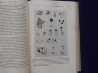 1961 MILK: THE MAMMARY GLAND AND ITS SECRETION HARDCOVER BOOKS-LOT OF 2- KD 8827