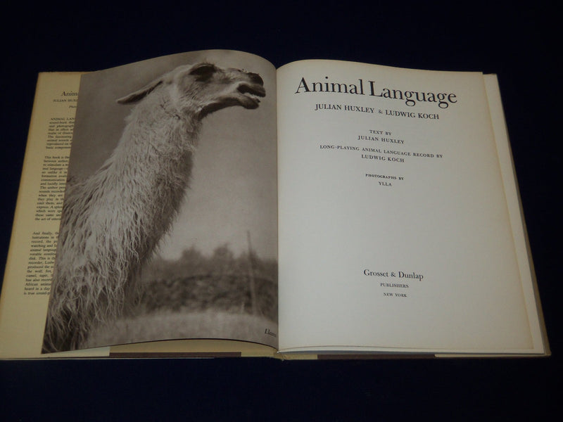 1964 ANIMAL LANGUAGE BOOK B JULIAN HUXLEY + RECORD BY LUDWIG KOCH - KD 3486H