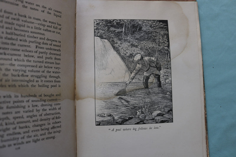 1902 THE SPECKLED TROUT HARDCOVER BOOK BY LOUIS RHEAD - KD 9696