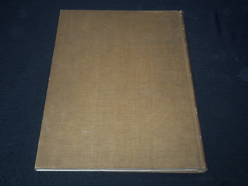 1893 ROMANISCHE KIRCHENMALEREIEN BY WILHELM PASTERN GERMAN VOLUME - Z 223