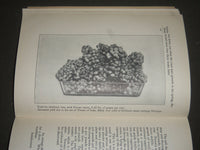 1907 FOOD FOR PLANTS EDITED BY WILLIAM S. MYERS SOFTCOVER BOOK - J 2529