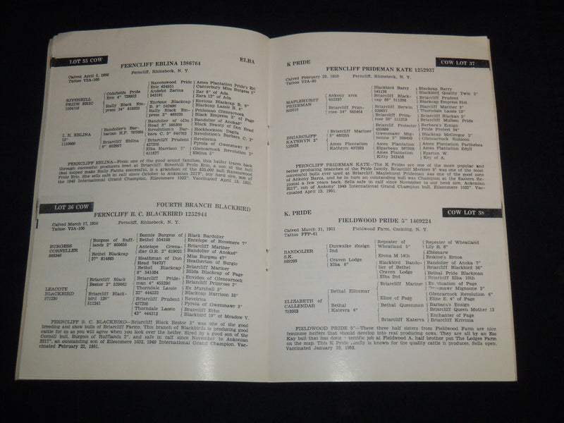 1952 NORTHEASTERN ABERDEEN-ANGUS BREEDERS' 16TH ANNUAL SALE CATALOG - J 9106