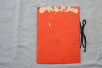1919 FORT DODGE HIGH SCHOOL PROGRAMS SOFTCOVER BOOKS - LOT OF 2 - K 730