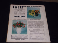 1967 APRIL MODERN SCREEN MAGAZINE - GEORGE HAMILTON & LYNDA BIRD COVER - E 16824