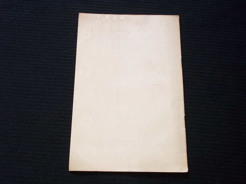 1917 THE GERMAN IDEA OF PEACE TERMS SOFTCOVER BOOKBY J. M. ROBERTSON - J 7145