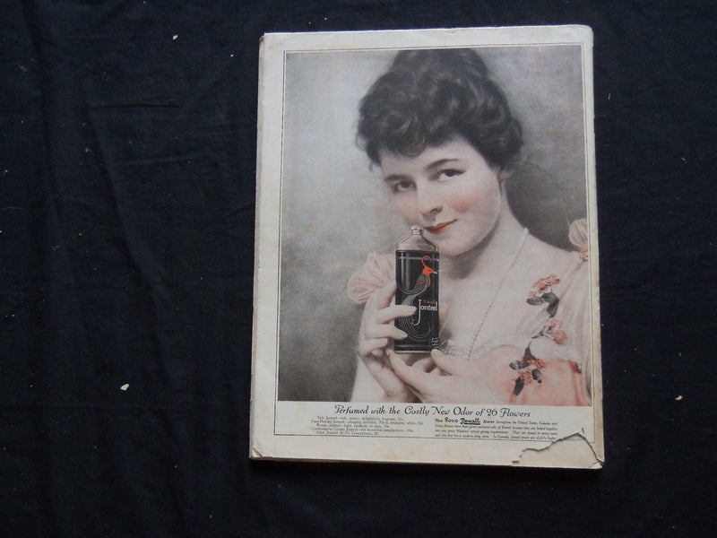 1919 MAY 17 THE SATURDAY EVENING POST MAGAZINE - ILLUSTRATED COVER - SP 929