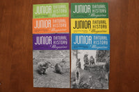 1946-1949 JUNIOR NATURAL HISTORY MAGAZINE - LOT OF 36 - O 3926