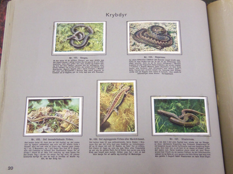 1930'S RICH'S SERIE FRA MARK OG SKOV ANIMAL TOBACCO CARDS ALBUM DANISH - KD 3185