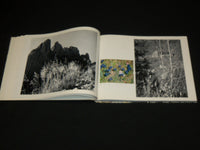 1965 SWISS MOUNTAIN MAGIC HARDCOVER BOOK BY EUGENE LEUENBERGER - R 720B