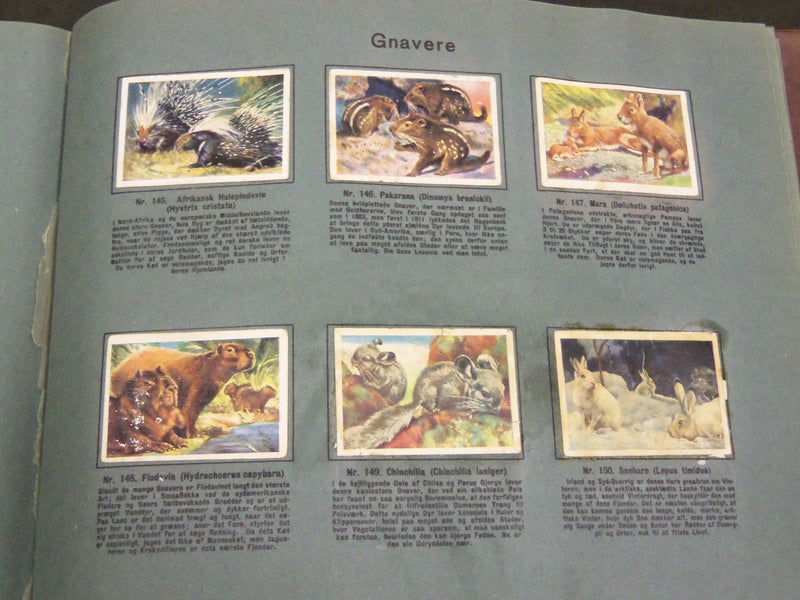 1930'S RICH'S SERIE AF DYRENES VERDEN ANIMAL TOBACCO CARDS ALBUM - KD 3181