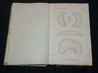 1891-1911 ANNALES SOCIETE ENTOMOLOGIQUE DE FRANCE ET BELGIQUE HUGE LOT - WR 140