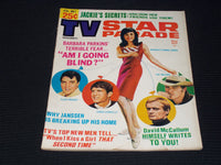1965 NOVEMBER TV STAR PARADE MAGAZINE - BARBARA PARKINS FRONT COVER - E 13239
