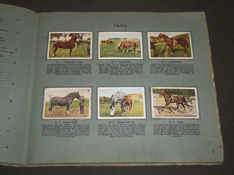 1930'S RICH'S SERIE DANSKE HUSDYR ANIMAL TOBACCO CARDS ALBUM - DANISH - KD 3183