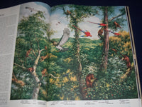 1955 THE WORLD WE LIVE IN BOOK BY TIME INC. - NICE COLOR FOLD OUTS - KD 2206