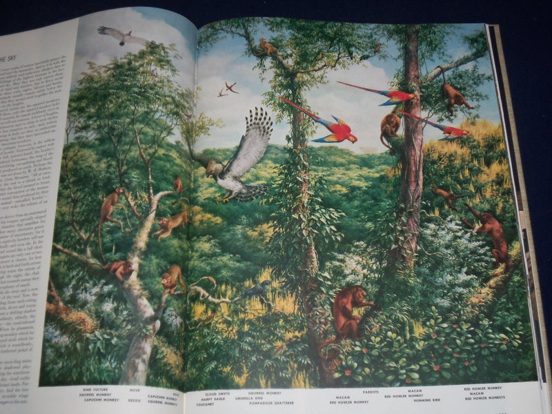 1955 THE WORLD WE LIVE IN BOOK BY TIME INC. - NICE COLOR FOLD OUTS - KD 2206