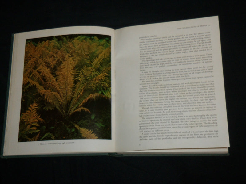 1974 FERNS HARDCOVER BOOK BY ROGER GROUNDS - GREAT PHOTOS - KD 6892