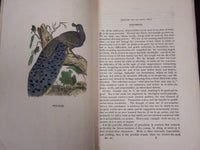 1847 AUG & SEPT THE RURAL GEM MAGAZINE LOT OF 2 - VOLUME 2 ISSUE 2 & 3 - ST 4522