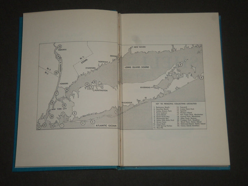 1961 SHELLS OF THE NEW YORK CITY AREA BY JACOBSON & EMERSON - KD 4415