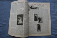 1908 APRIL THE MOTHER'S MAGAZINE - GREAT ILLUSTRATIONS & STORIES - ST 1000A