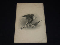 1901 BALTIMORE & OHIO RAILROAD GUIDE TO WASHINGTON SOFTCOVER GUIDE - K 42