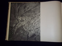 ASSYRISCHE PALASTRELIEF BOOK BY R. D. BARNETT & W. FORMAN - GERMAN - KD 548