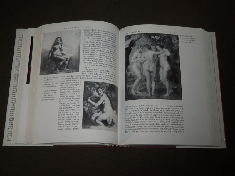 1999 REMBRANDTS EYES BOOK BY SIMON SCHAMA BOOK - FIRST EDITION - D 251