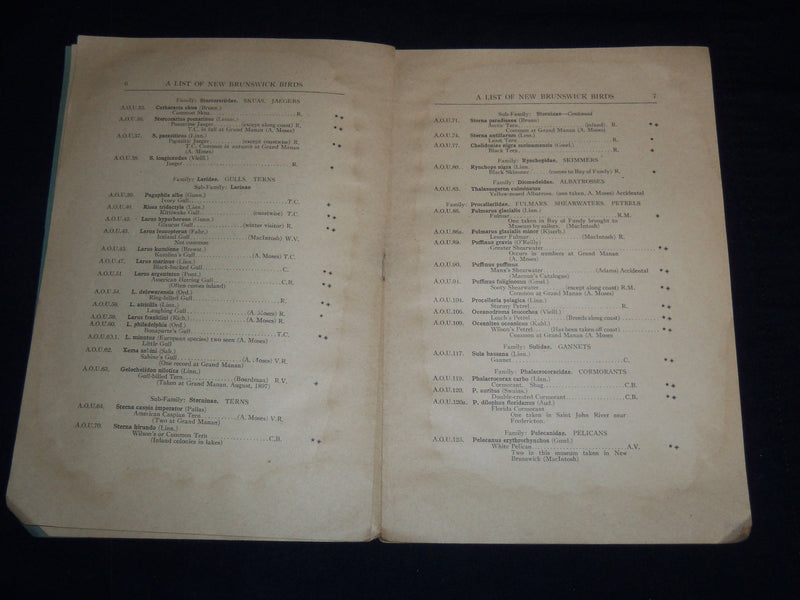 1928 A LIST OF NEW BRUNSWICK BIRDS BY WM. J. MOORE - FREDERICTON SCIENCE- J 8980