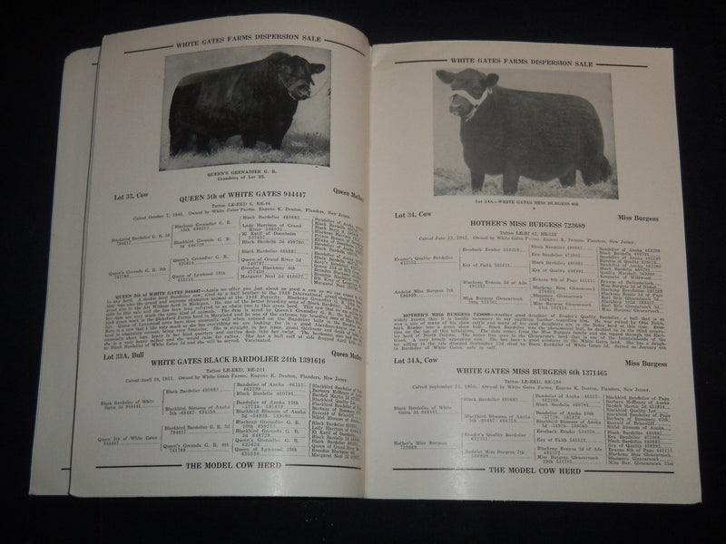 1951 WHITE GATES DISPERSION BREEDERS' CATTLE SALE CATALOG- FLANDERS NJ - J 9226