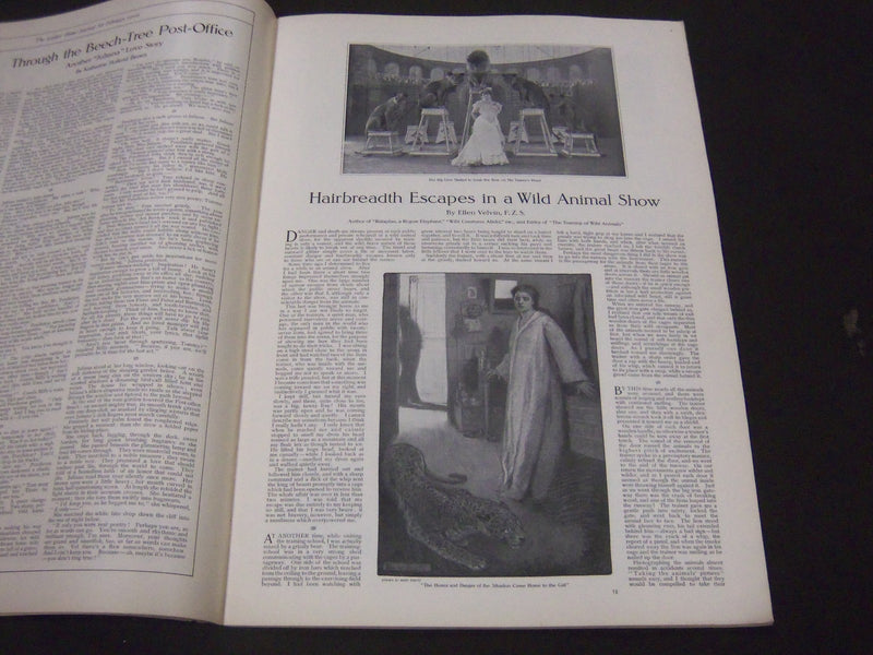 1906 FEB LADIES' HOME JOURNAL MAGAZINE - MAXFIELD PARRISH BACK COVER - ST 4456