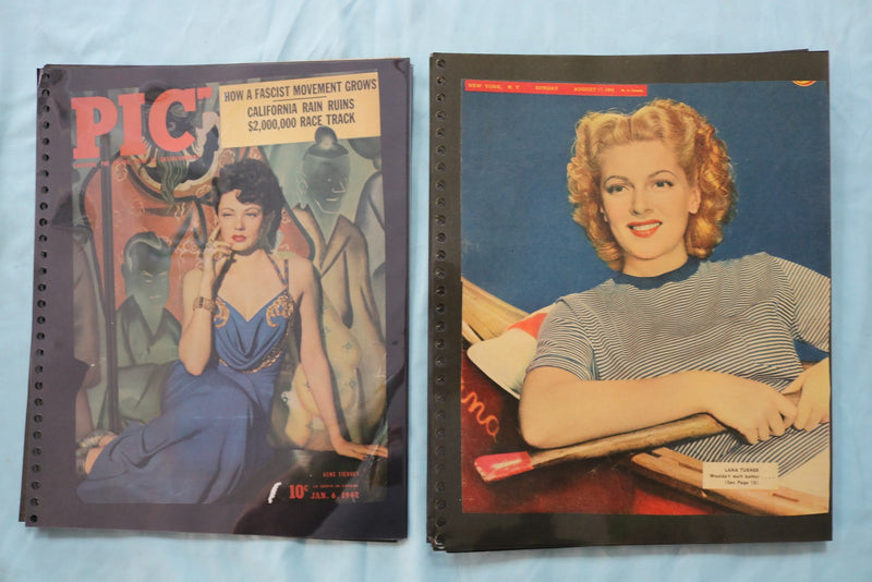 HOLLYWOOD MOVIE STAR SCRAPBOOK PAGES - 200+ PAGES AND 3 EMPTY ALBUMS - E 26488