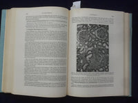 1958 NIERENKRANKHEITEN PHYSIOLOGIE HARDCOVER BOOK - HANS SARRE- GERMAN - KD 9004