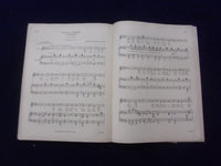 1931 FORTY SONGS JOHANNES BRAHMS SOFTCOVER BOOK EDITED BY JAMES HUNEKER- KD 8491