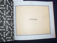1992 FELINES = GREAT POETS ON NOTORIOUS CATS HARDCOVER BOOK BY PAULOS - KD 9097
