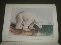 1951 AUDUBON'S ANIMALS THE QUADRUPEDS OF NORTH AMERICA BY ALICE FORD - I 1451