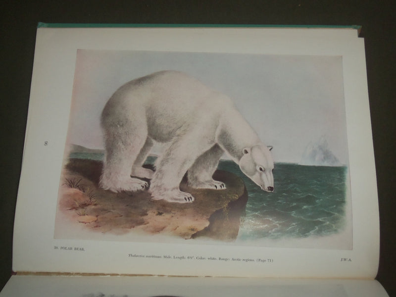 1951 AUDUBON'S ANIMALS THE QUADRUPEDS OF NORTH AMERICA BY ALICE FORD - I 1451