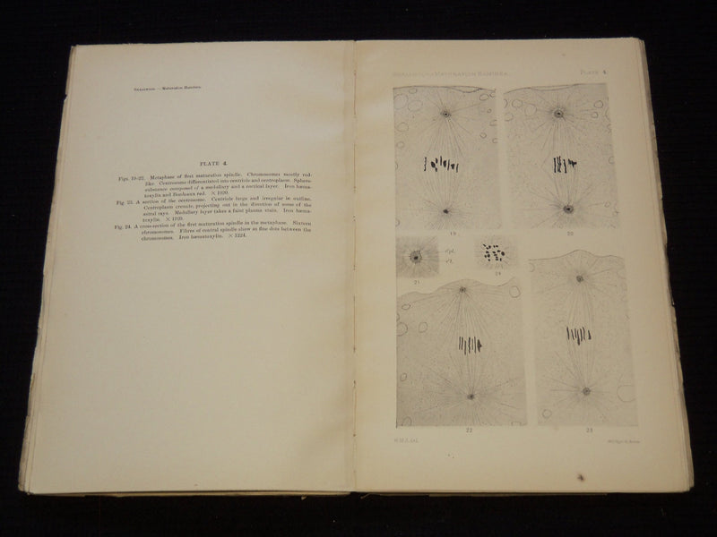1902-1904 HARVARD ZOOLOGICAL LABORATORY STUDY BOOKS LOT OF 3 - O 2366Q