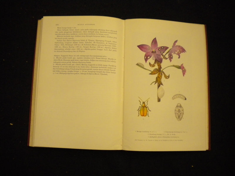 1953 BUNGA ANGGERIK HARDCOVER BOOK BY S.M. LATIF - INDONISIAN TEXT - KD 8134