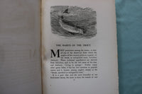 1902 THE SPECKLED TROUT HARDCOVER BOOK BY LOUIS RHEAD - KD 9696