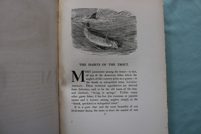 1902 THE SPECKLED TROUT HARDCOVER BOOK BY LOUIS RHEAD - KD 9696