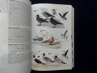2001-2011 BIRDS OF NORTH AMERICA GUIDE BOOKS - LOT OF 3 - KD 8874
