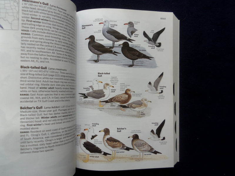 2001-2011 BIRDS OF NORTH AMERICA GUIDE BOOKS - LOT OF 3 - KD 8874