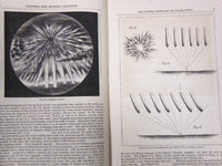 1869 HARPER'S MONTHLY MAGAZINE LOT 12 COMPLETE YEAR - NICE ILLUSTRATIONS- WR 259