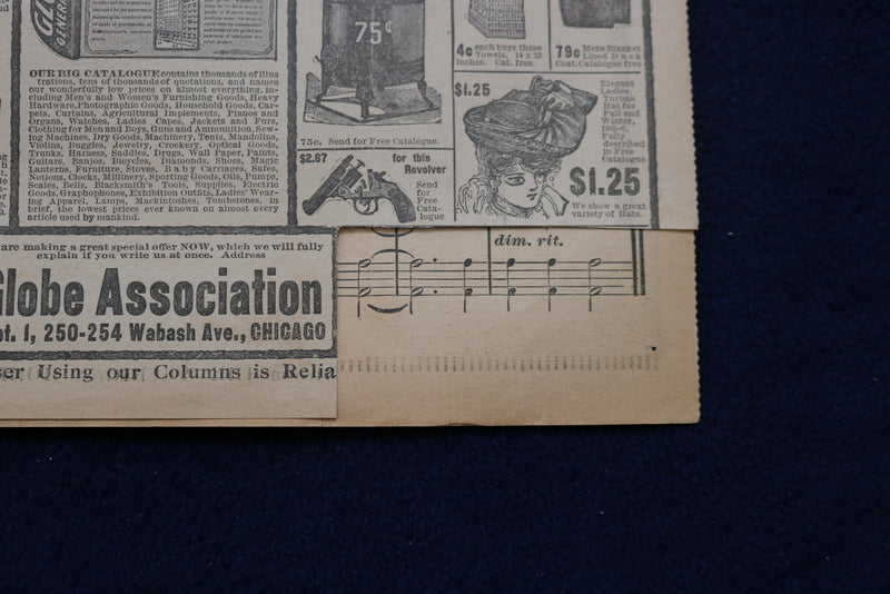 1905 SEPTEMBER THE AMERICAN HOME NEWSPAPER - NICE ILLUSTRATED COVER - NP 8680