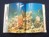 1973 THREE ADVENTURES HARDCOVER BOOK BY JACQUES-YVES COUSTEAU - KD 8283