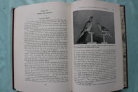 1957 NEW HAMPSHIRE GAME AND FURBEARERS REPORT BY HELENETTE SILVER - KD 9723